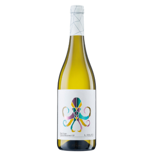 Diversitas Polpo Pinot Grigio DOC Delle Venezie /Itálie/