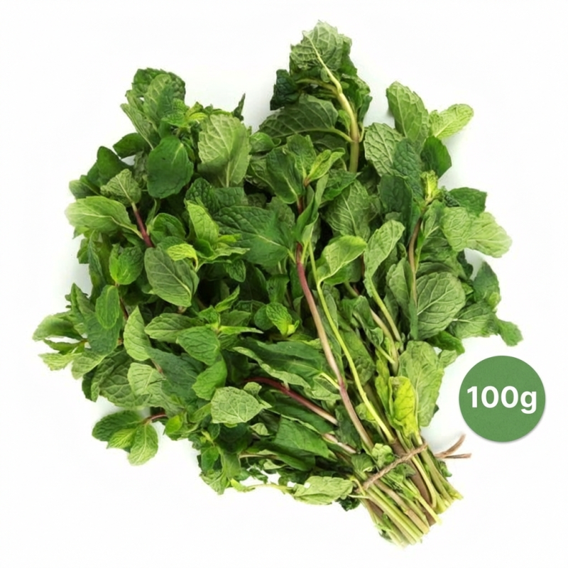 detail Máta peprná čerstvá balená 100g