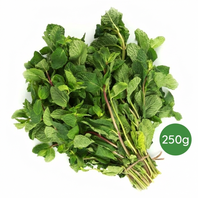 detail Máta peprná čerstvá balená 250g
